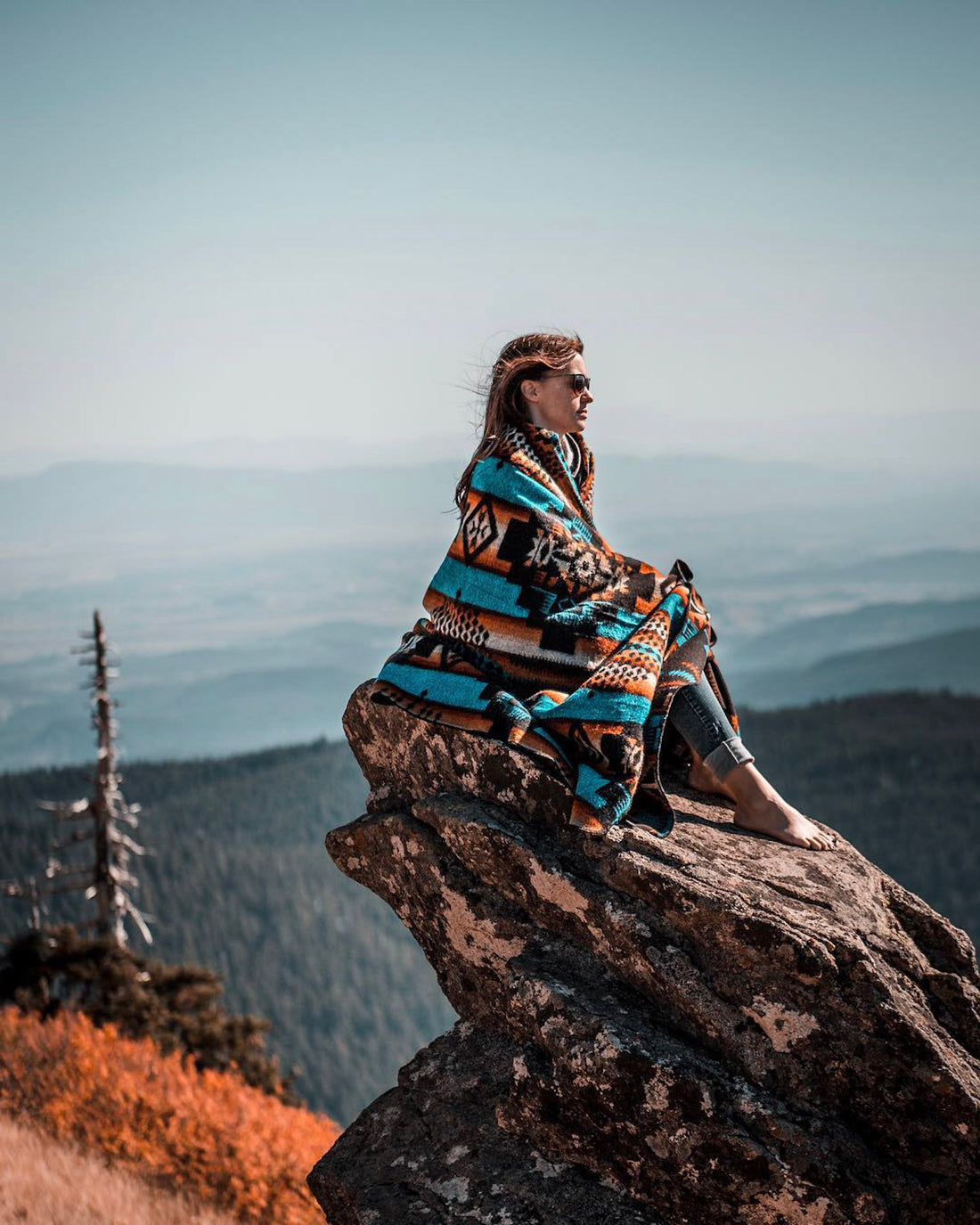 Andes Cliffside